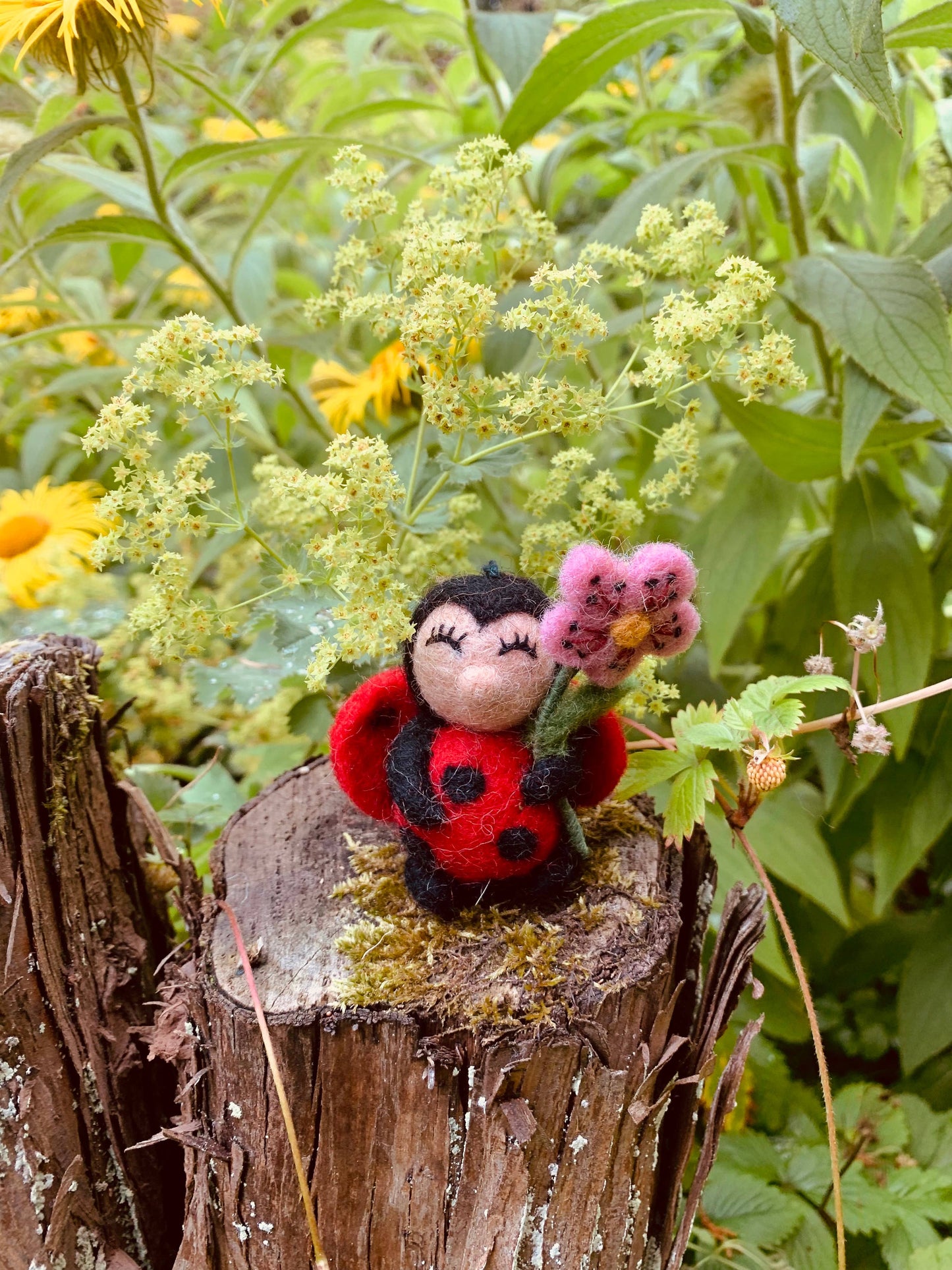 Lola Ladybug Ornament