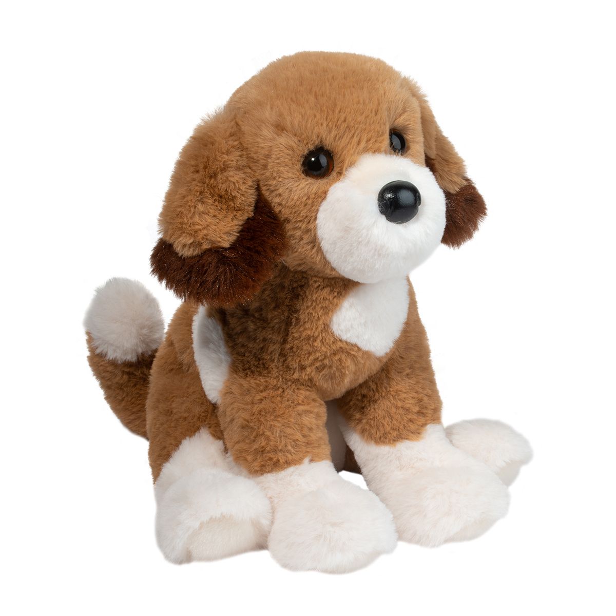 Shirlie Dog