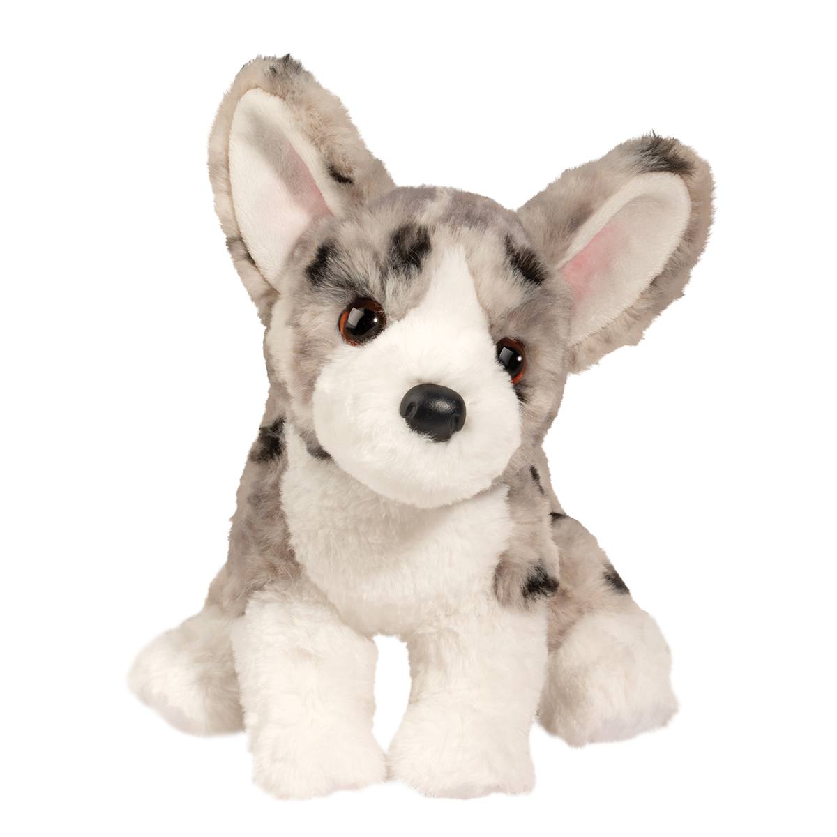 Codie Corgi