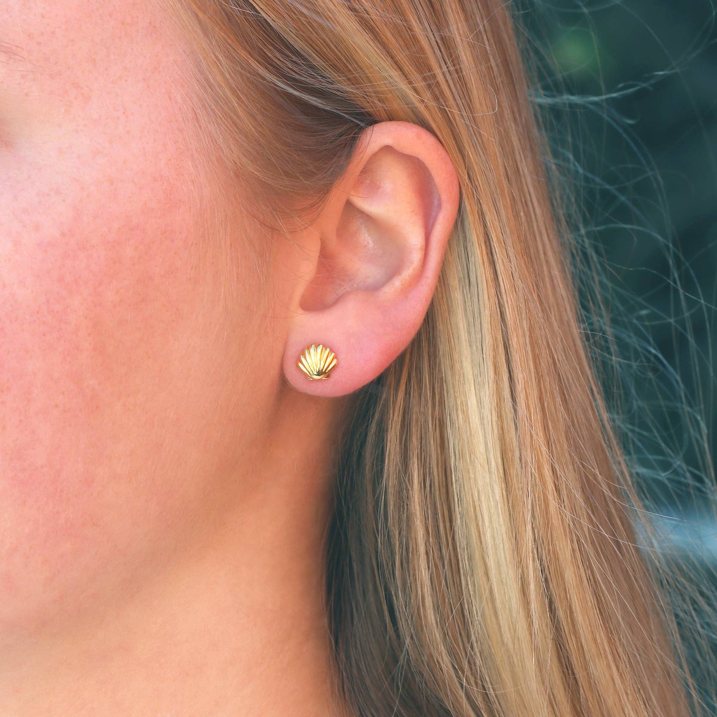 Seashell Stud Earrings