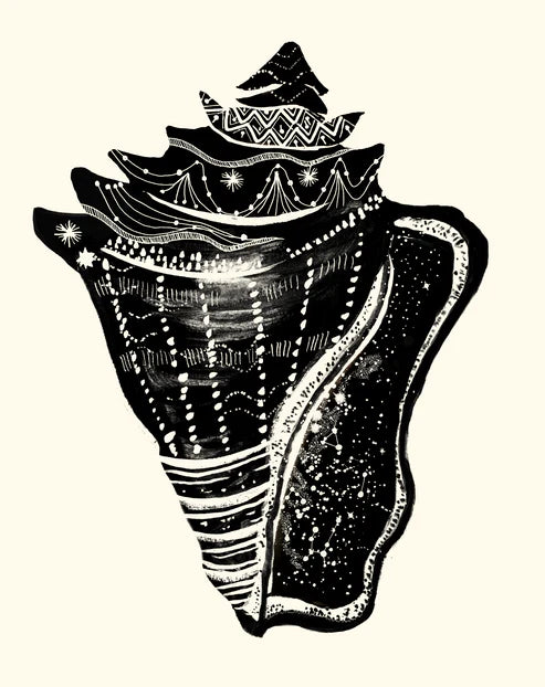Conchstellation Print
