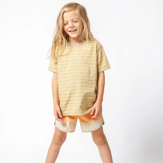 Seaesta Surf Boardshorts