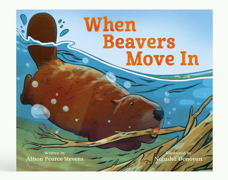 When Beavers Move In