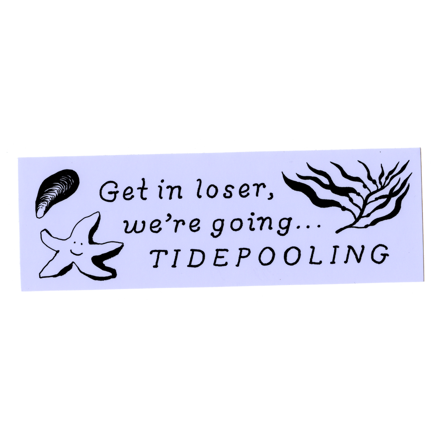 Tidepooling Bumper Sticker