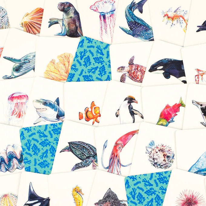 Under the Sea An Ocean Memory Game