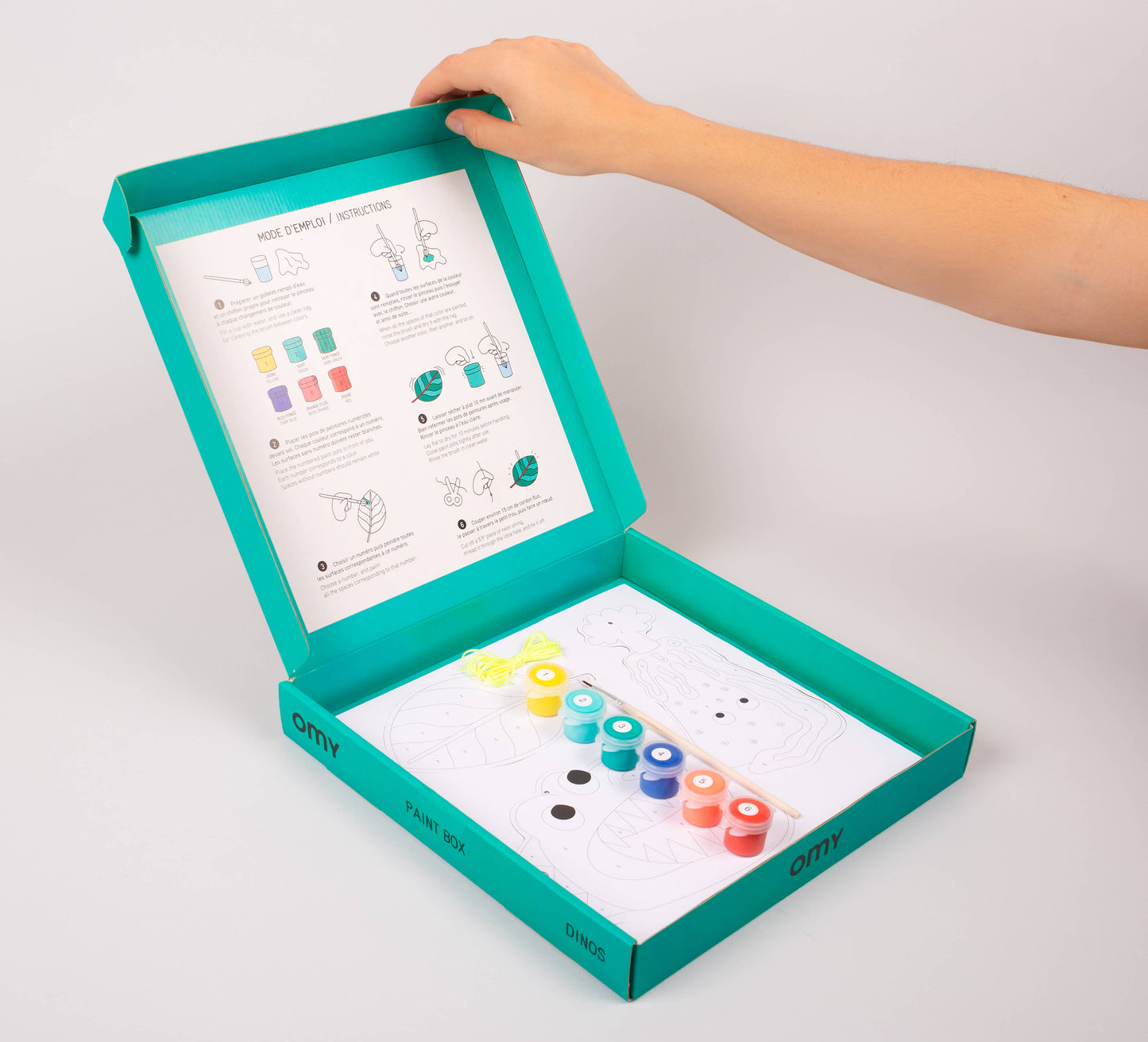 Dino Paint Box
