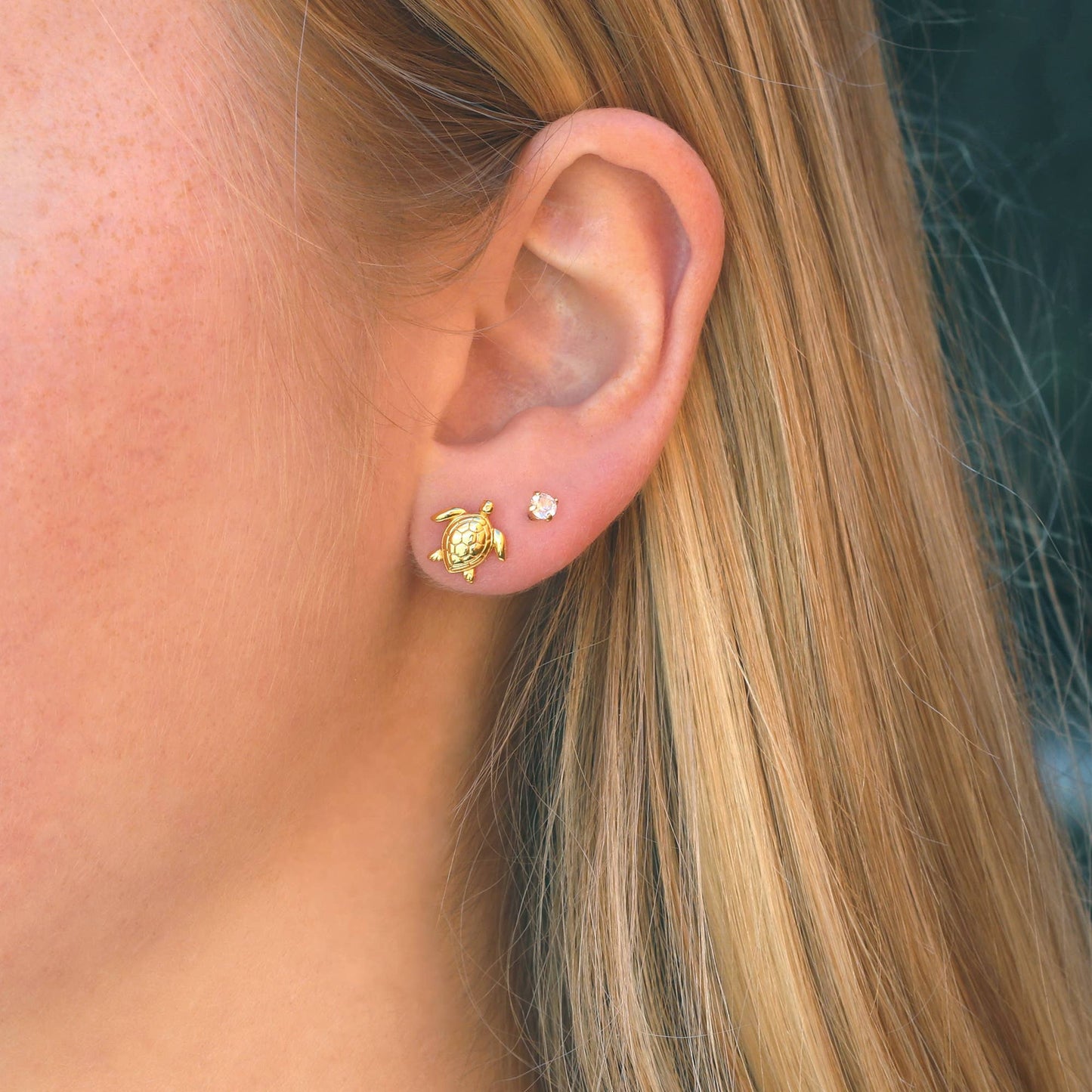 Sea Turtle Studs