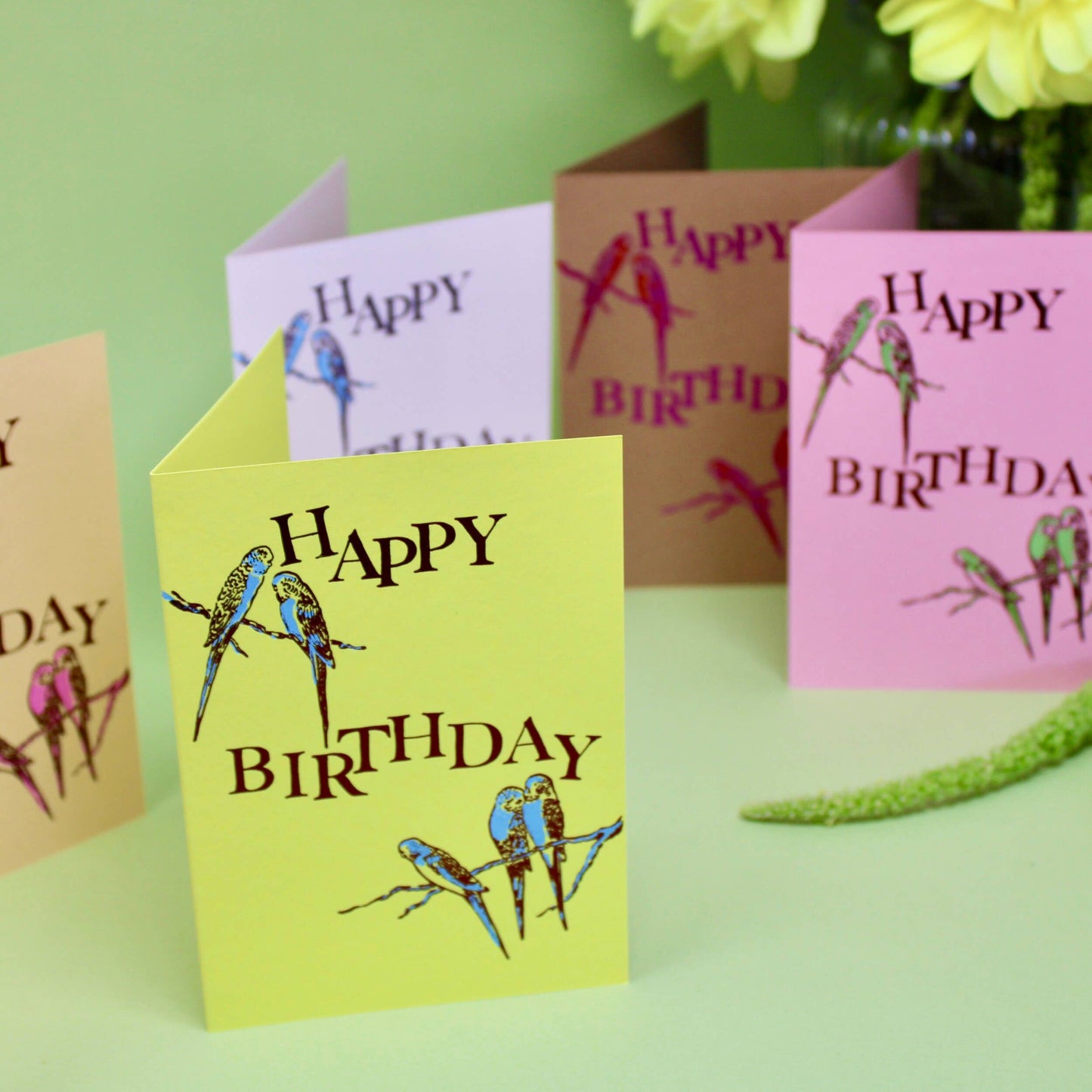 Birthday Budgies Card