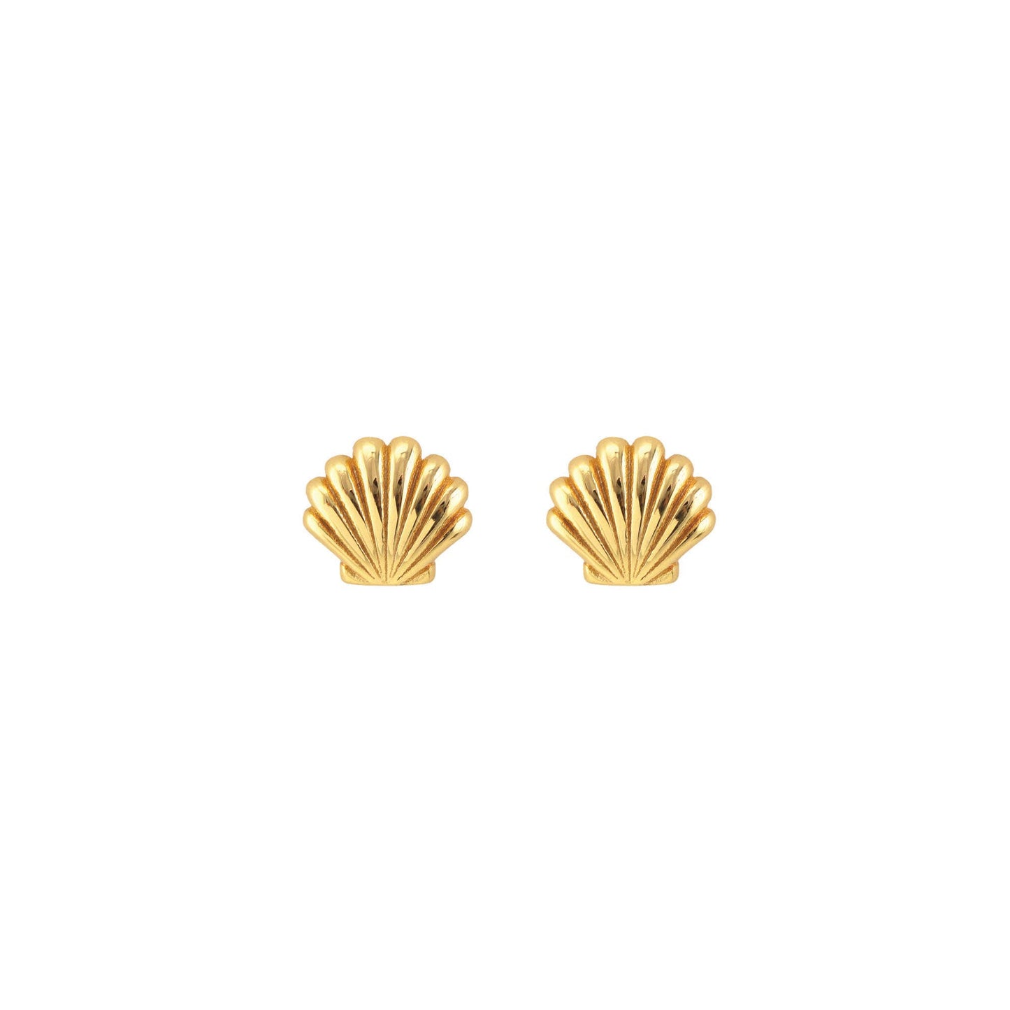Seashell Stud Earrings