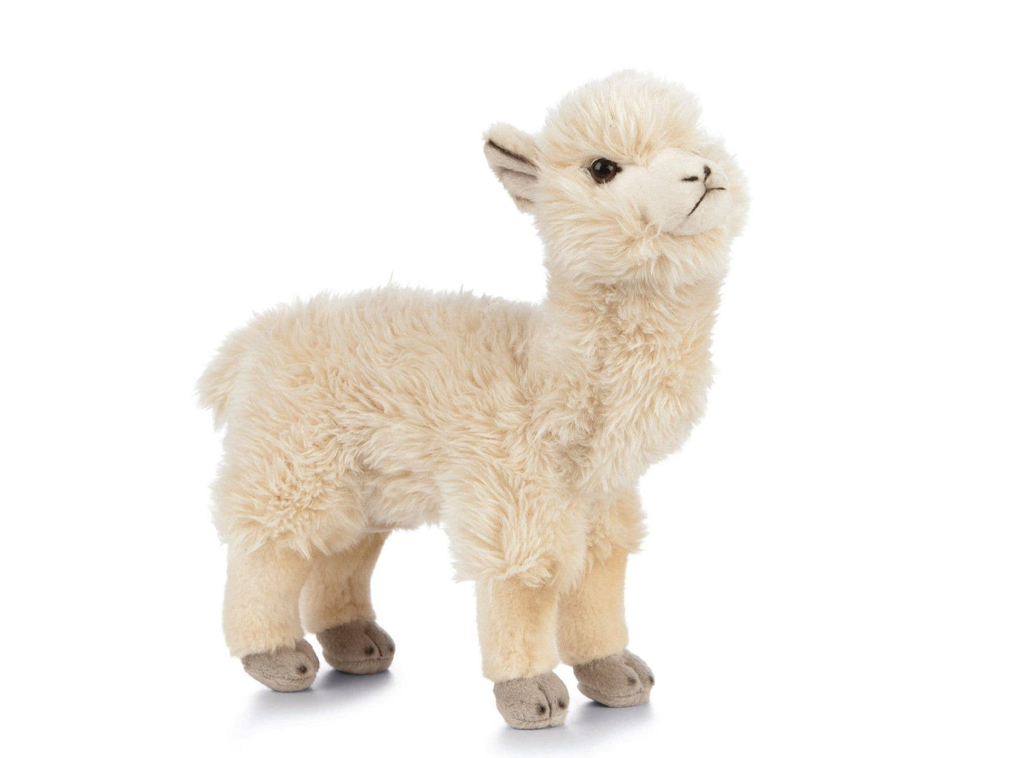 Living Nature Alpaca