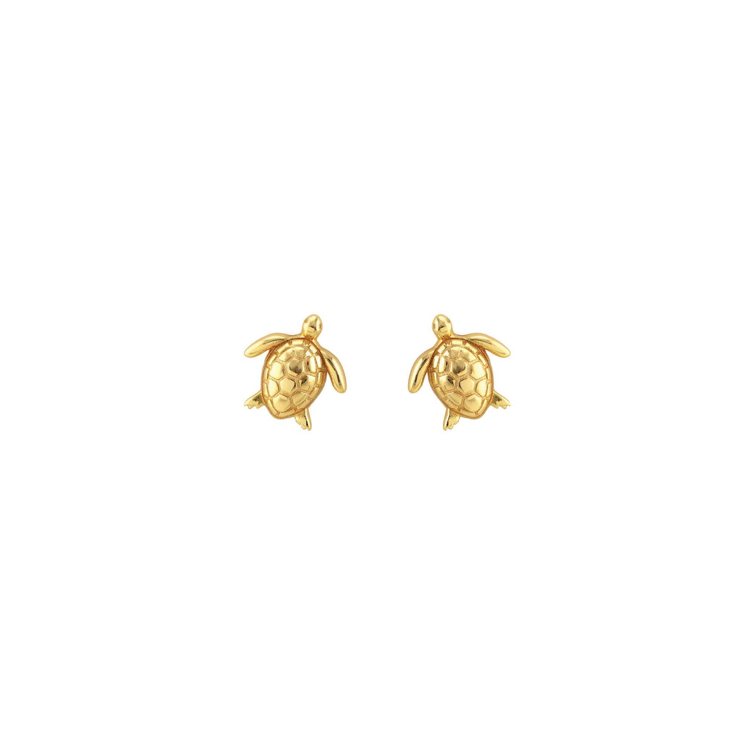 Sea Turtle Studs