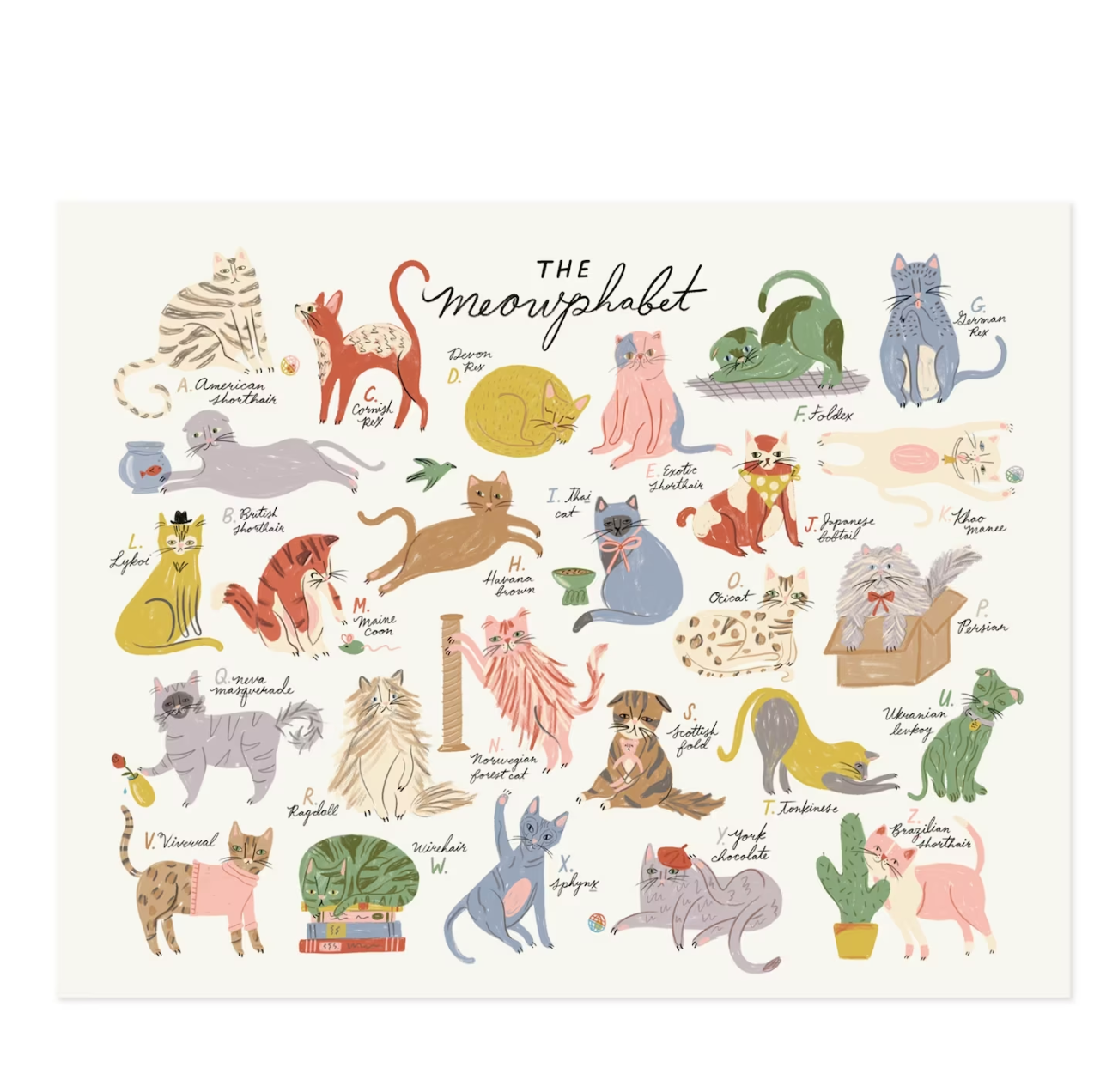 The Meowphabet Cat ABC Art Print