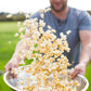 Popcorn Seasoning Blend
