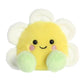 Daisy Flower Palm Plush Pals Stuffed Animal