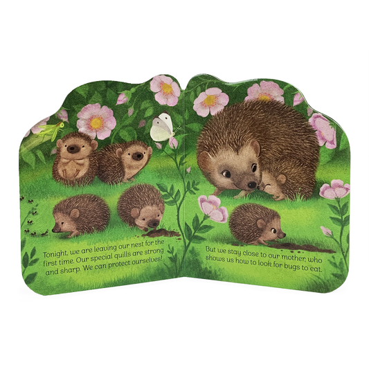 A Little Hedgehog Book