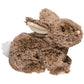 Taylor Mocha Bunny (Small)