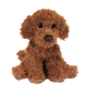 Ginger Miniature Poodle