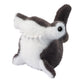 Lil’ Baby Hammerhead Shark