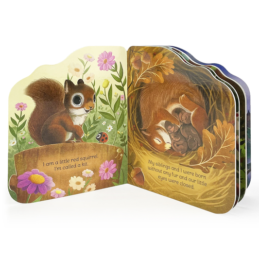 A Little Squirrel Book