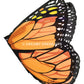 Orange Monarch Wings