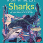Sharks (A Day In The Life)