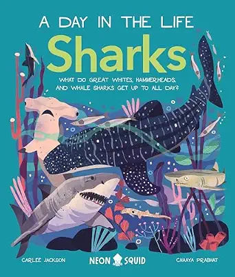 Sharks (A Day In The Life)