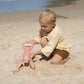 Sand Claws Lobster Coral