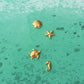 Sea Turtle Studs