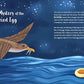 Secrets Of The Ocean