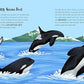 Secrets Of The Ocean