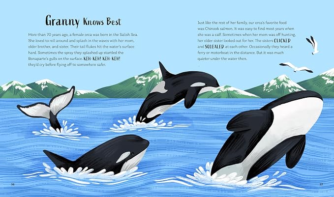 Secrets Of The Ocean