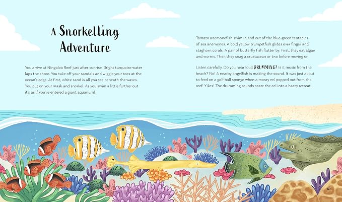 Secrets Of The Ocean
