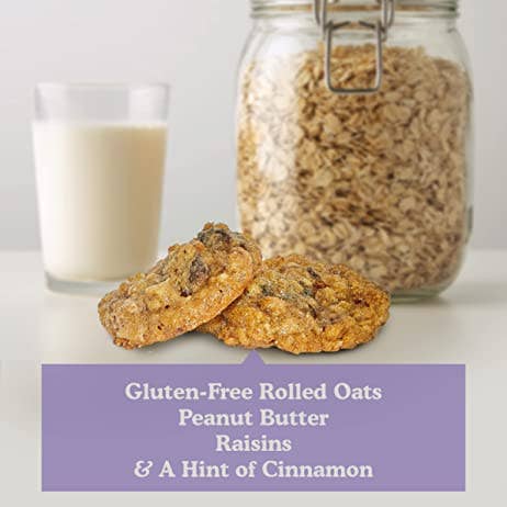 Oatey Raisin Mini Cookies