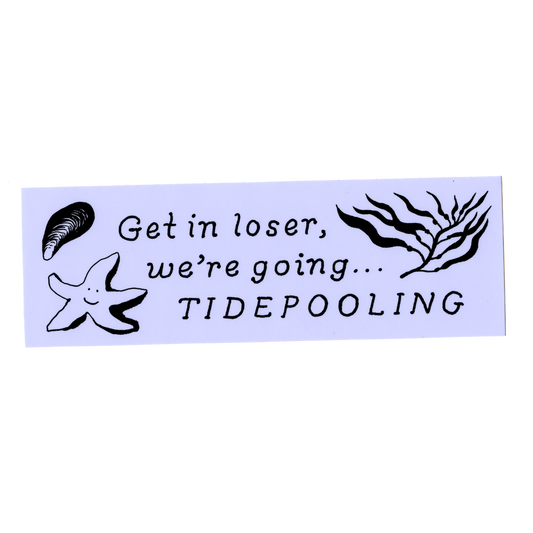 Tidepooling Bumper Sticker