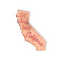 I'll Sink With California Pin