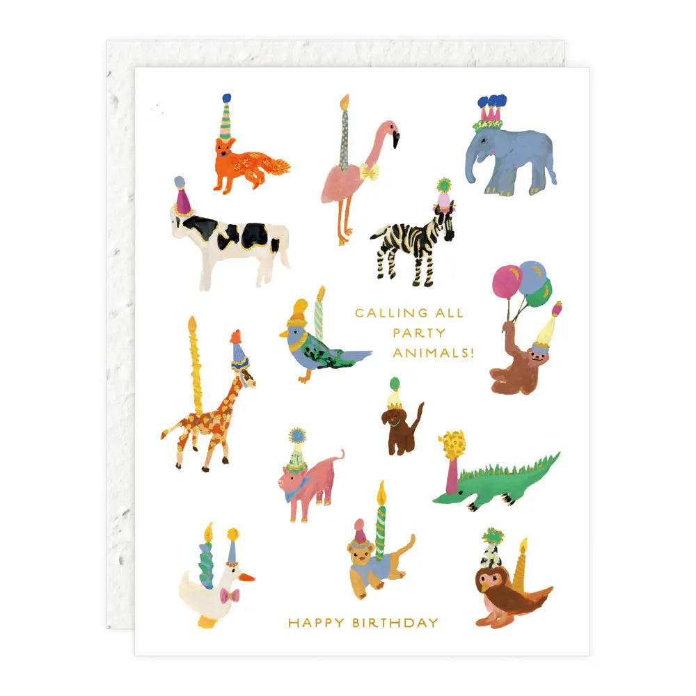 Animal Party