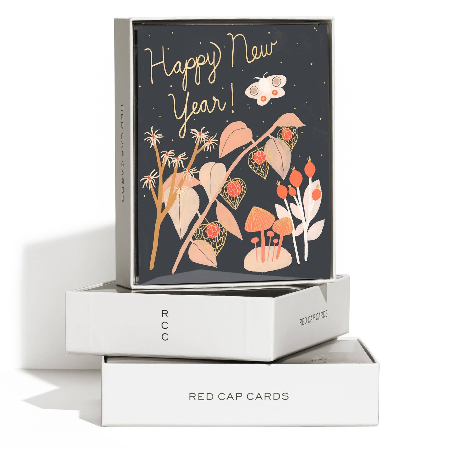 New Year's Lanterns holiday greeting card