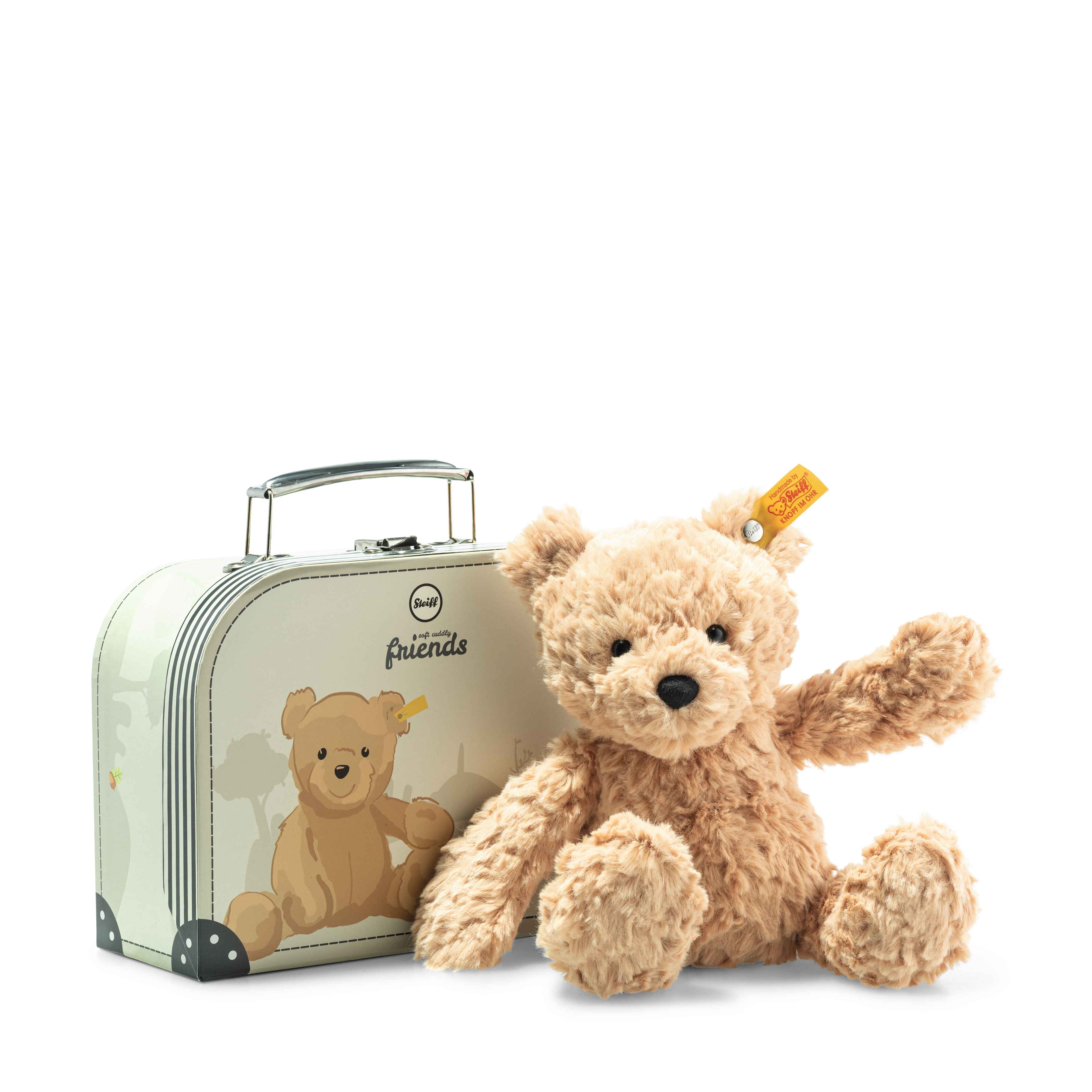 Teddy in store a suitcase