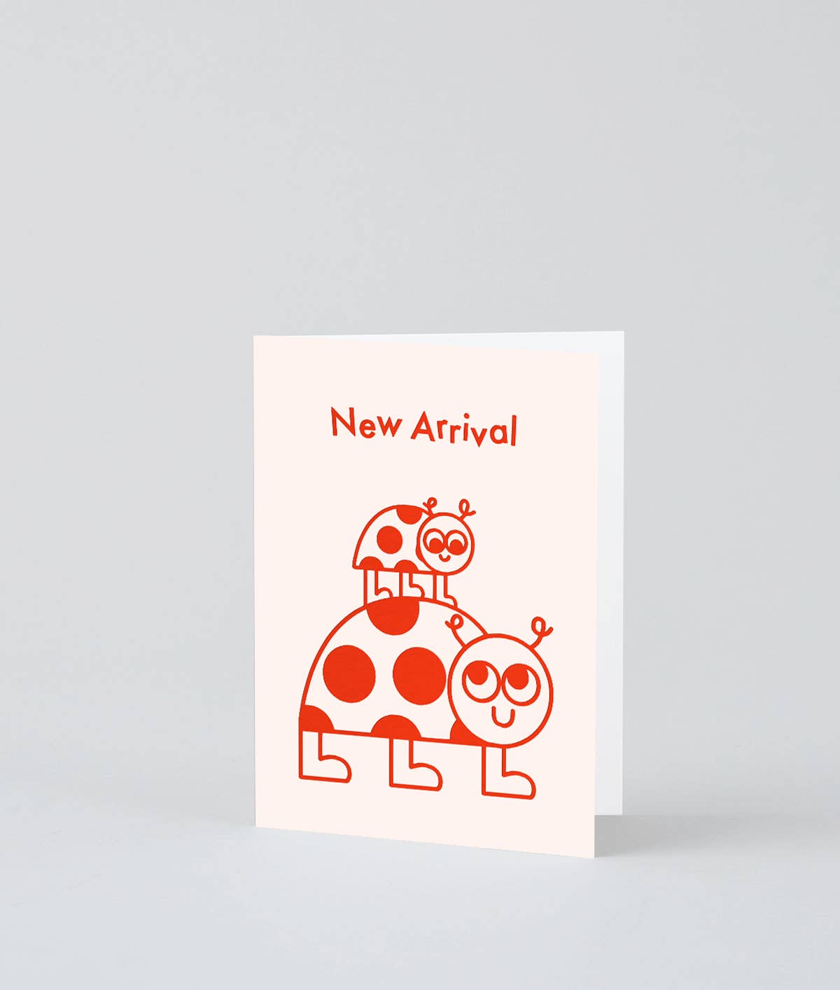 New Arrival Ladybird Mini Card