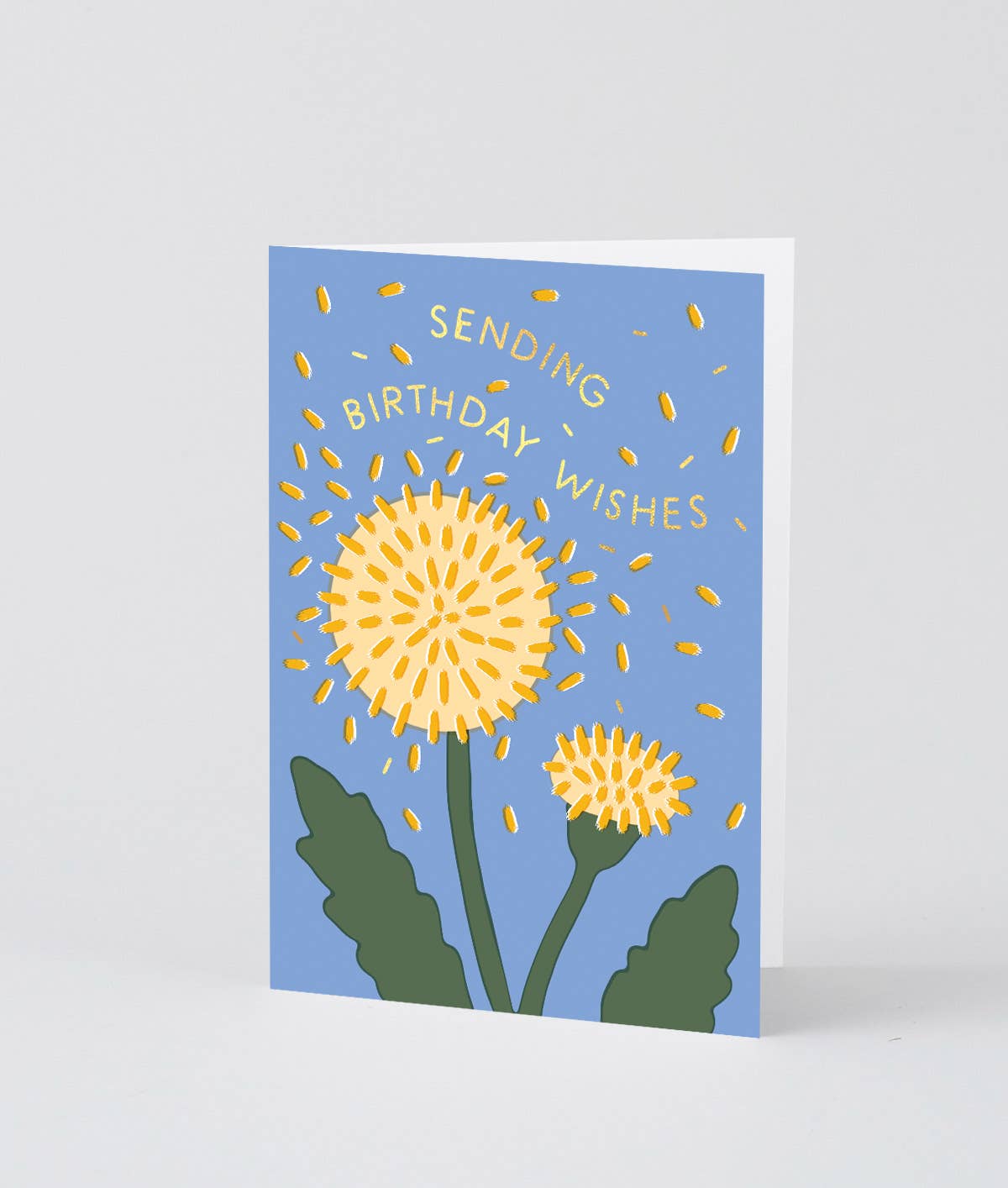 Birthday Wishes Dandelion Card